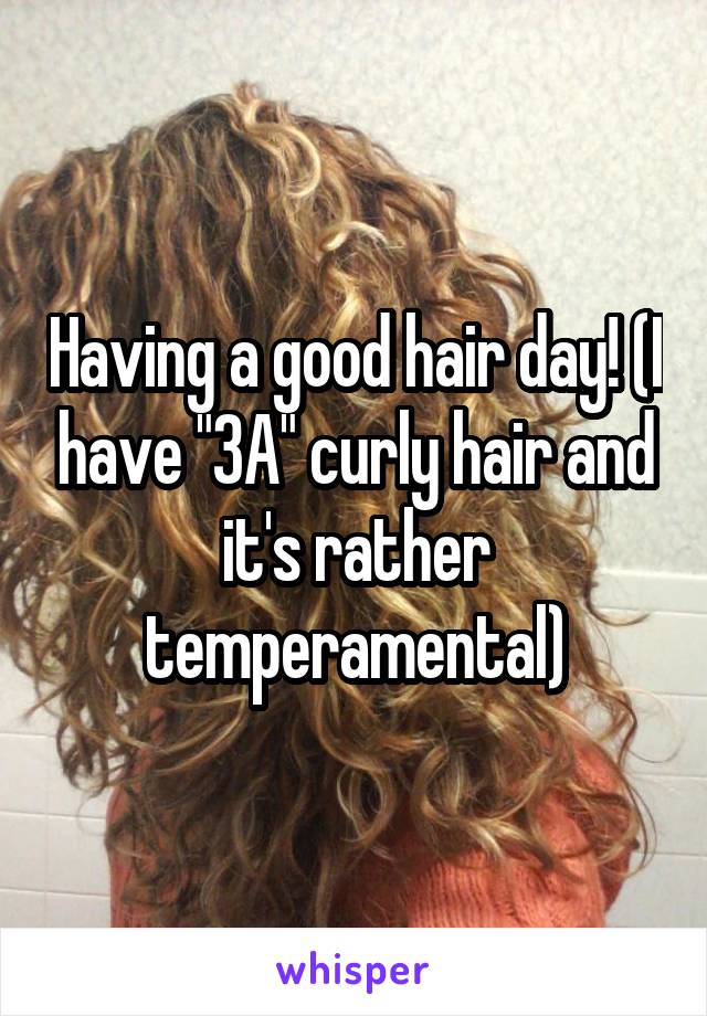 Having a good hair day! (I have "3A" curly hair and it's rather temperamental)