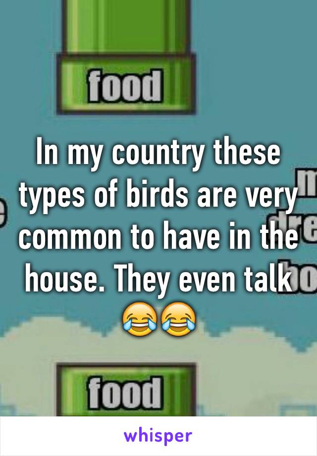 In my country these types of birds are very common to have in the house. They even talk 😂😂
