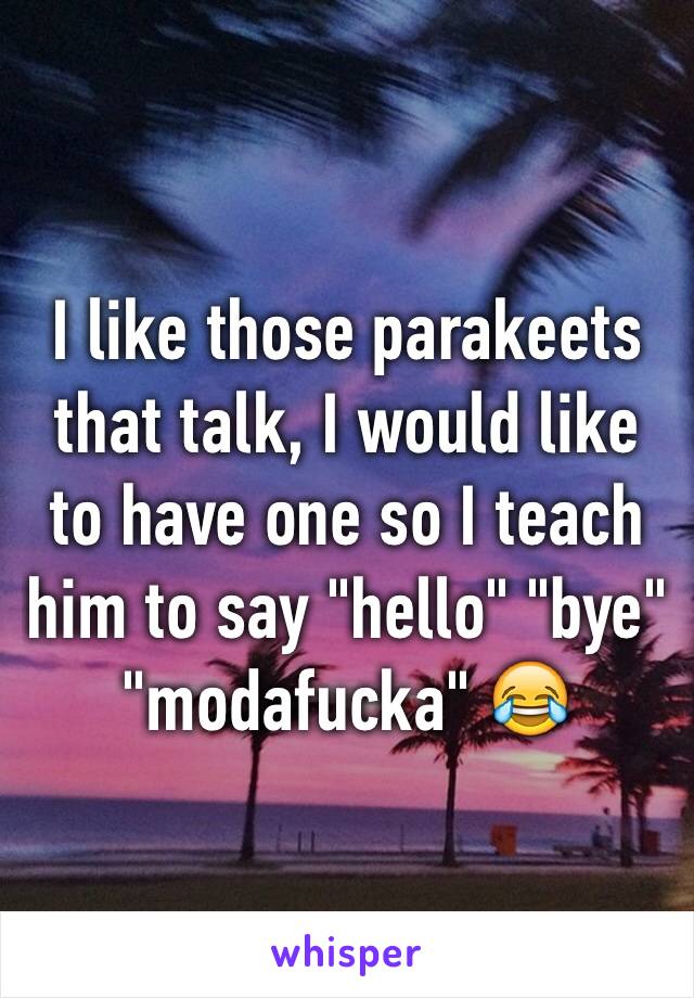 I like those parakeets that talk, I would like to have one so I teach him to say "hello" "bye" "modafucka" 😂