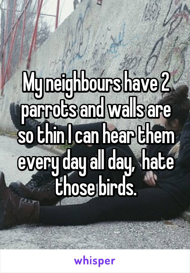 My neighbours have 2 parrots and walls are so thin I can hear them every day all day,  hate those birds.