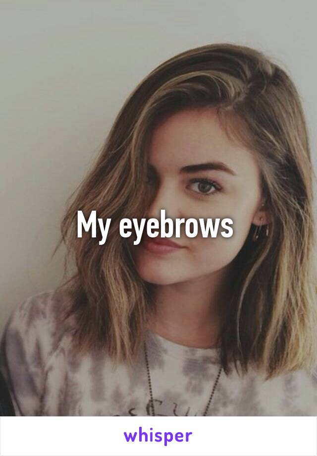 My eyebrows 