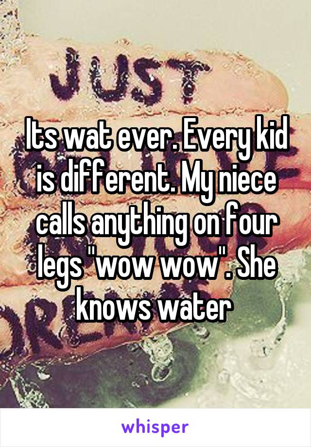 Its wat ever. Every kid is different. My niece calls anything on four legs "wow wow". She knows water 