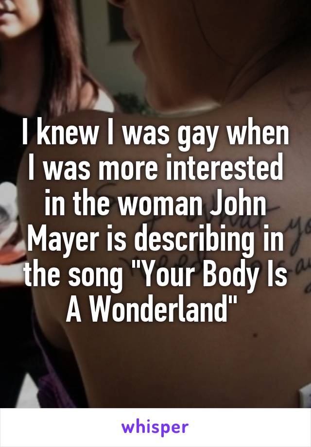 I knew I was gay when I was more interested in the woman John Mayer is describing in the song "Your Body Is A Wonderland" 