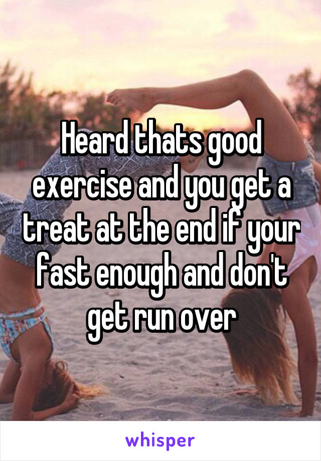 Heard thats good exercise and you get a treat at the end if your fast enough and don't get run over