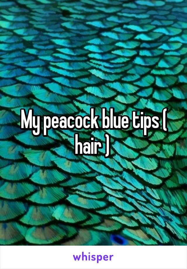 My peacock blue tips ( hair ) 