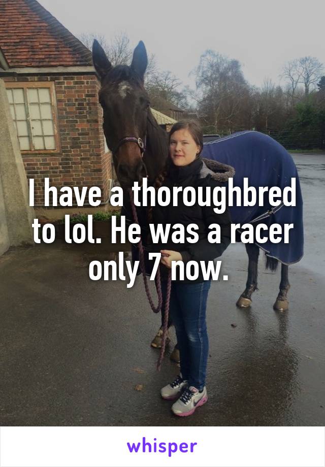 I have a thoroughbred to lol. He was a racer only 7 now. 