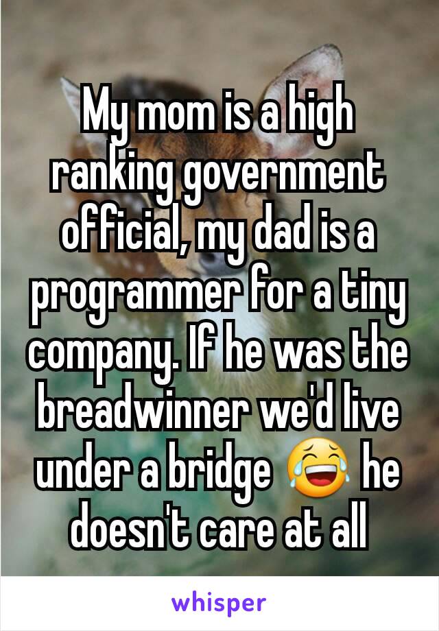 My mom is a high ranking government official, my dad is a programmer for a tiny company. If he was the breadwinner we'd live under a bridge 😂 he doesn't care at all