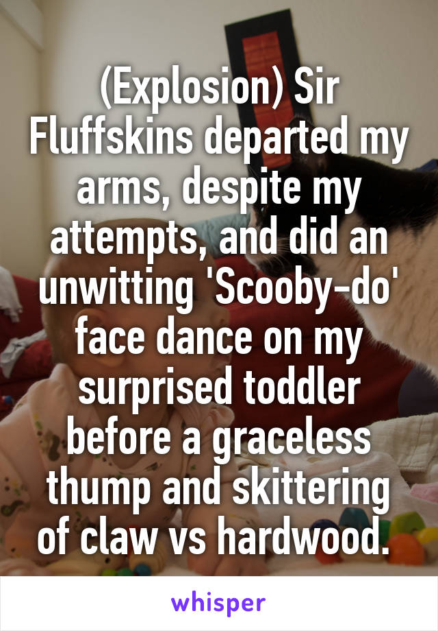 (Explosion) Sir Fluffskins departed my arms, despite my attempts, and did an unwitting 'Scooby-do' face dance on my surprised toddler before a graceless thump and skittering of claw vs hardwood. 