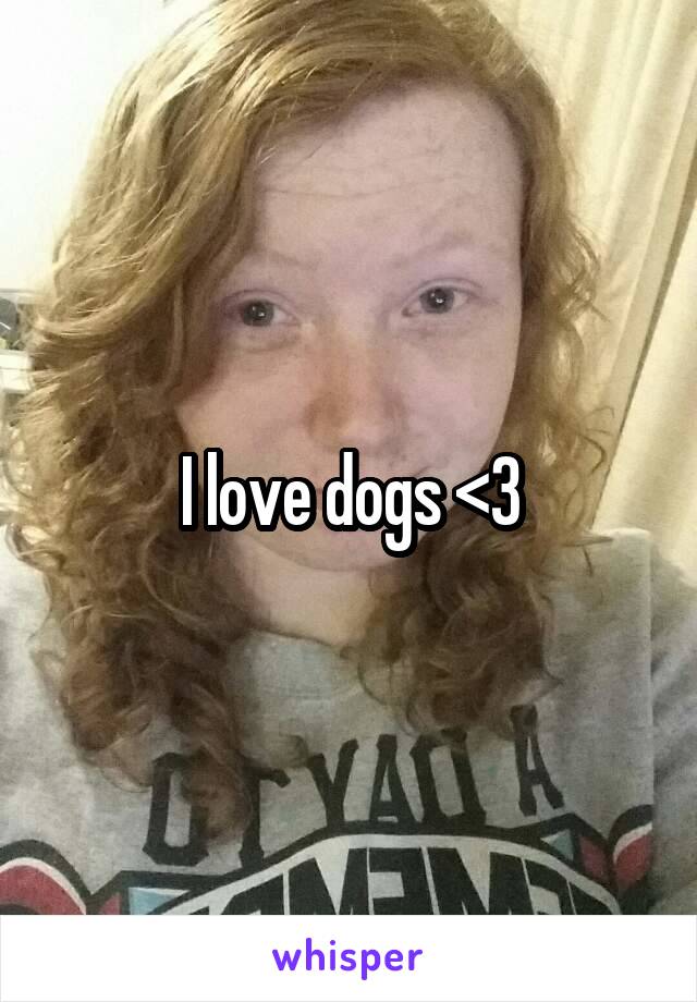 I love dogs <3