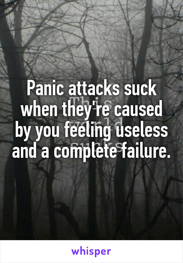 Panic attacks suck when they're caused by you feeling useless and a complete failure. 