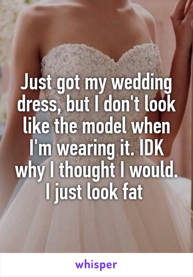 Just got my wedding dress, but I don't look like the model when I'm wearing it. IDK why I thought I would. I just look fat 