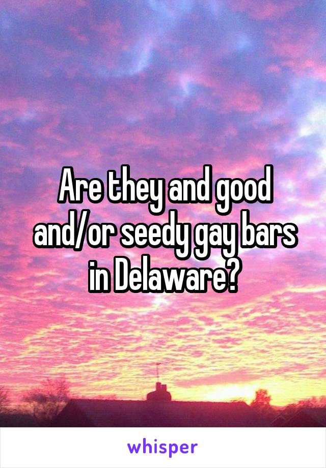 Are they and good and/or seedy gay bars in Delaware?