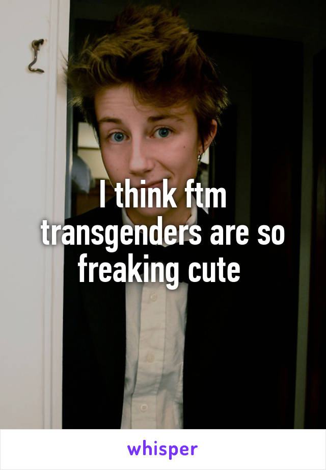 I think ftm transgenders are so freaking cute 