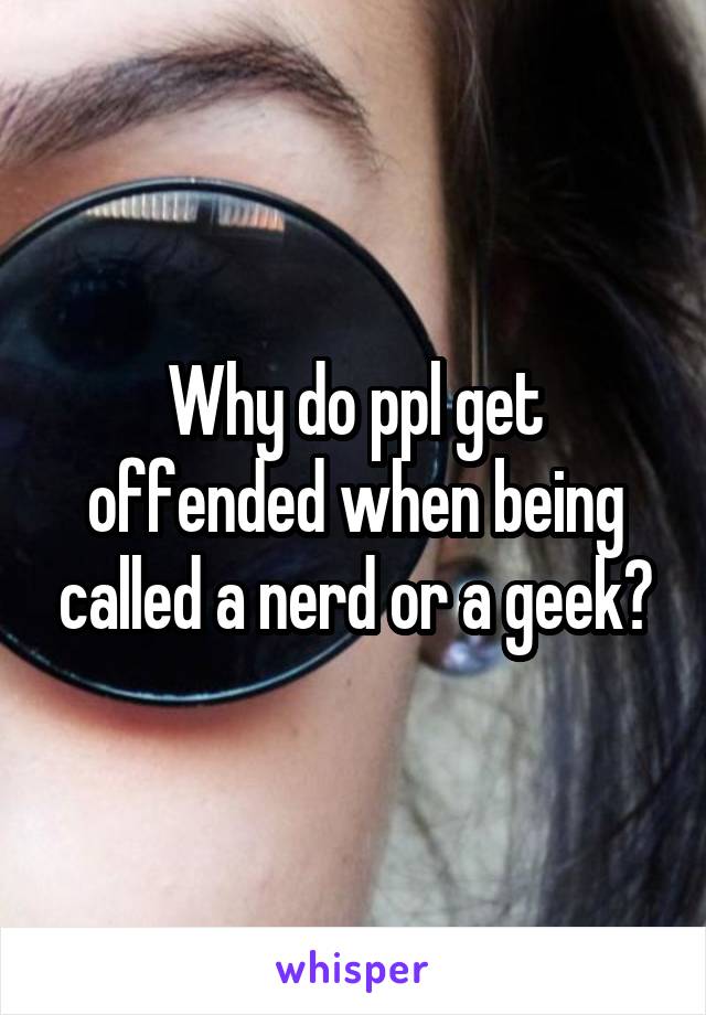 Why do ppl get offended when being called a nerd or a geek?