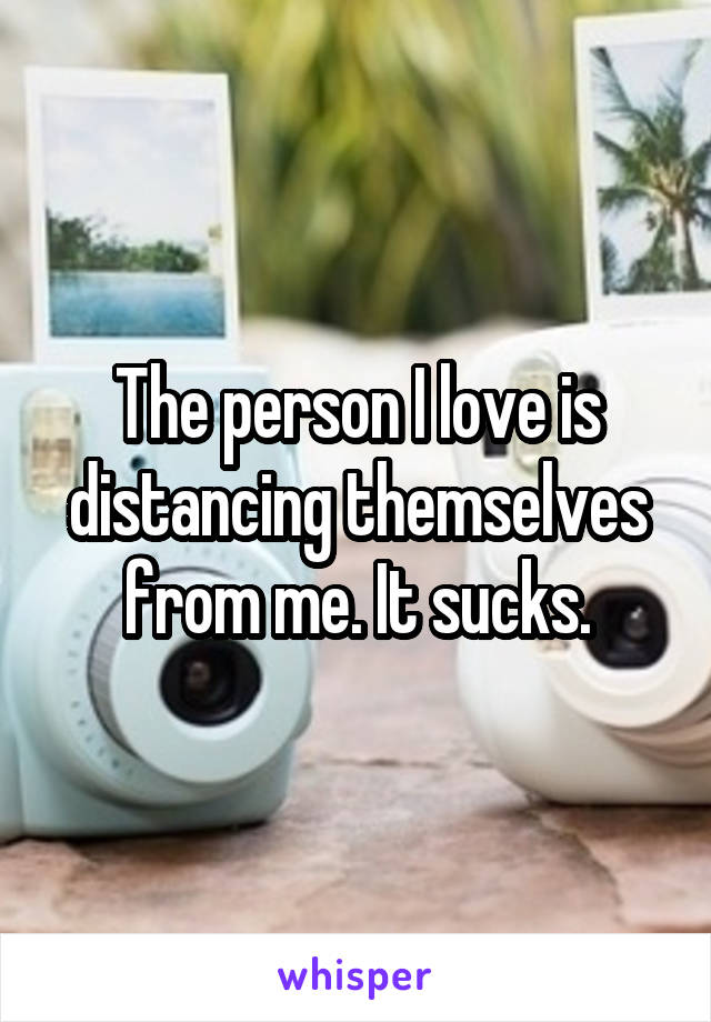 The person I love is distancing themselves from me. It sucks.