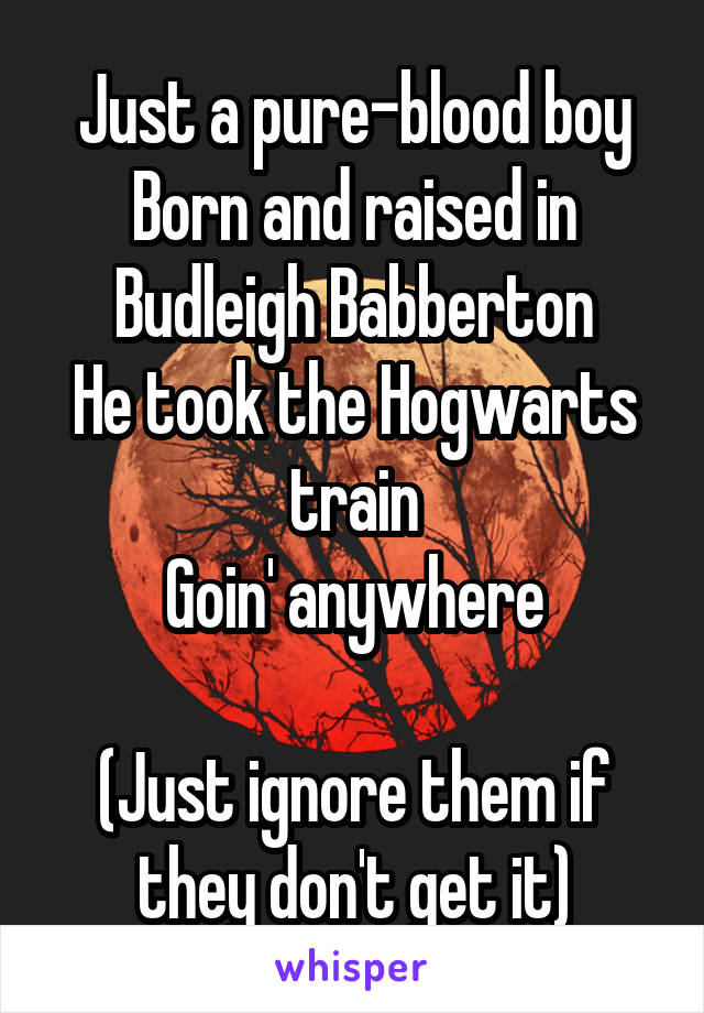 Just a pure-blood boy
Born and raised in Budleigh Babberton
He took the Hogwarts train
Goin' anywhere

(Just ignore them if they don't get it)