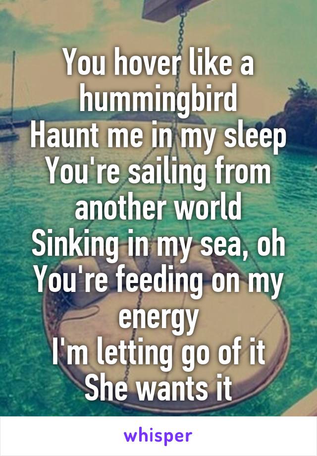 You hover like a hummingbird
Haunt me in my sleep
You're sailing from another world
Sinking in my sea, oh
You're feeding on my energy
I'm letting go of it
She wants it