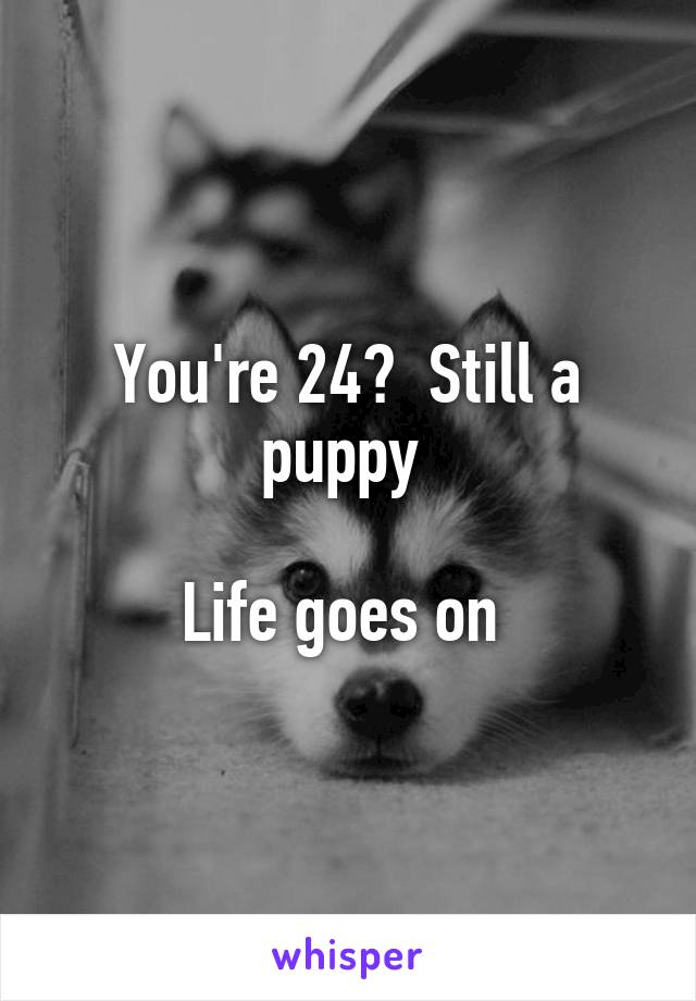 You're 24?  Still a puppy 

Life goes on 