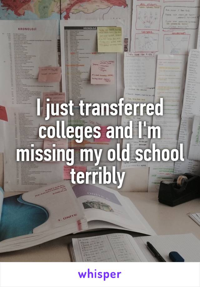 I just transferred colleges and I'm missing my old school terribly 