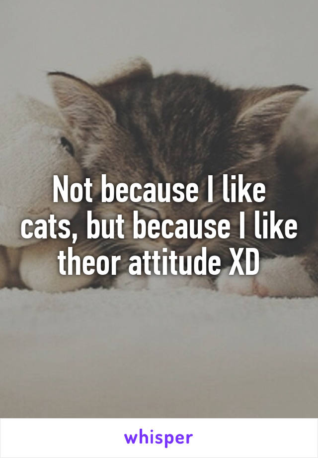 Not because I like cats, but because I like theor attitude XD