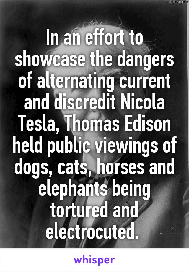 In an effort to showcase the dangers of alternating current and discredit Nicola Tesla, Thomas Edison held public viewings of dogs, cats, horses and elephants being tortured and electrocuted. 