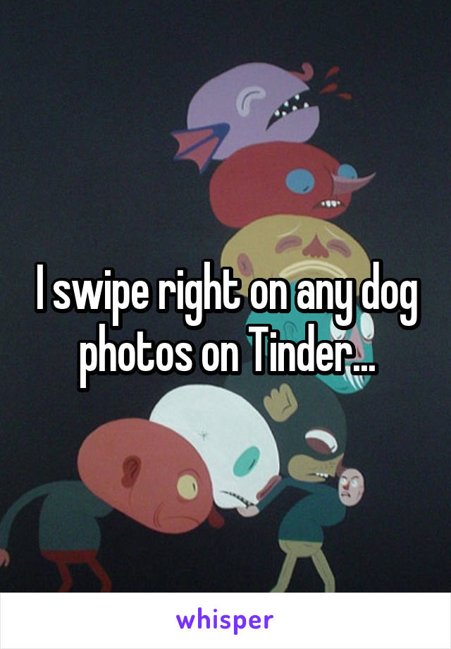 I swipe right on any dog photos on Tinder...