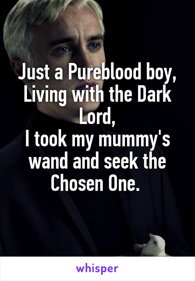 Just a Pureblood boy,
Living with the Dark Lord,
I took my mummy's wand and seek the Chosen One. 
