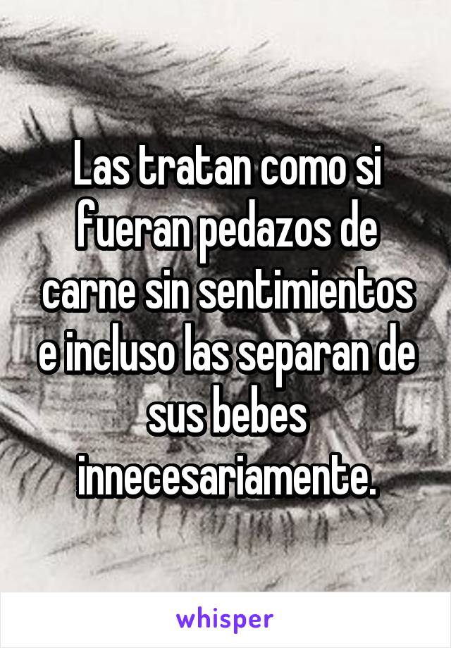 Las tratan como si fueran pedazos de carne sin sentimientos e incluso las separan de sus bebes innecesariamente.