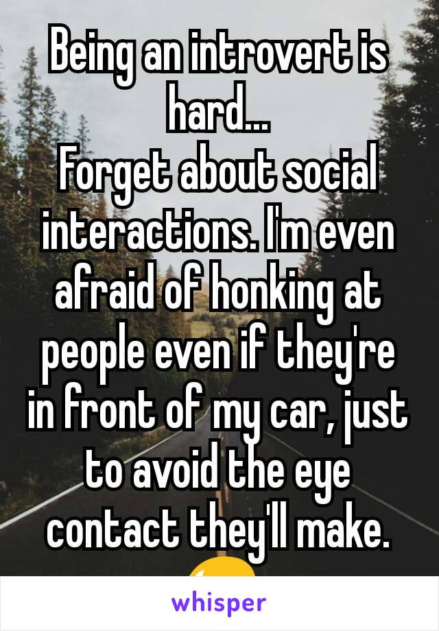 Being an introvert is hard...
Forget about social interactions. I'm even afraid of honking at people even if they're in front of my car, just to avoid the eye contact they'll make.😥