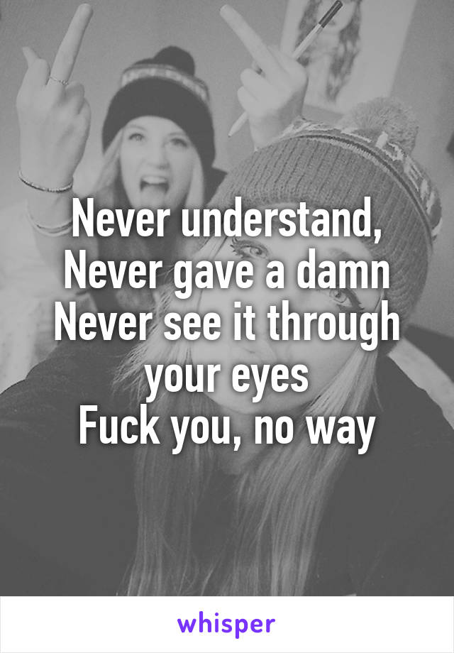 Never understand,
Never gave a damn
Never see it through your eyes
Fuck you, no way