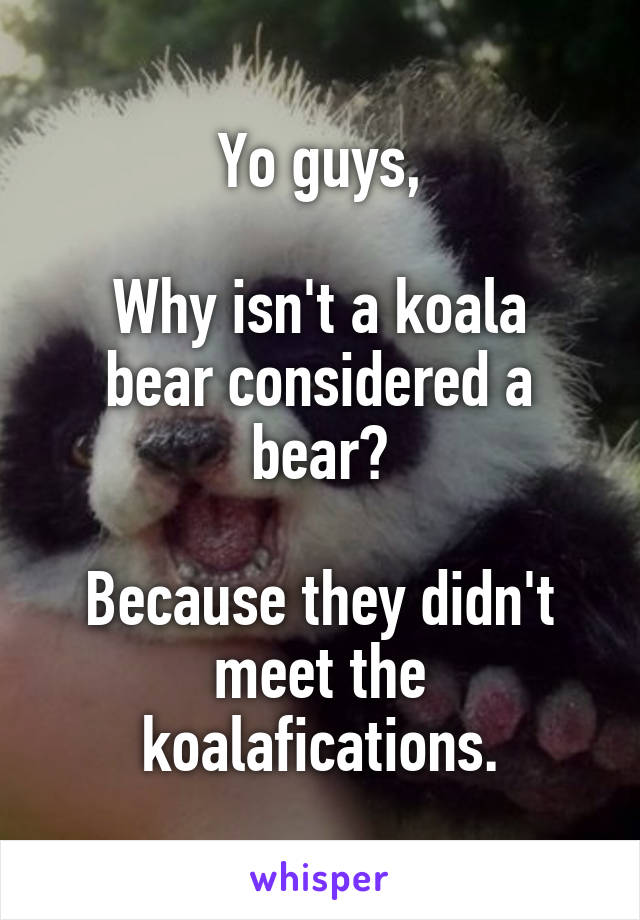 Yo guys,

Why isn't a koala bear considered a bear?

Because they didn't meet the koalafications.