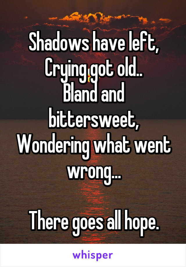 Shadows have left,
Crying got old..
Bland and bittersweet,
Wondering what went wrong...

There goes all hope.