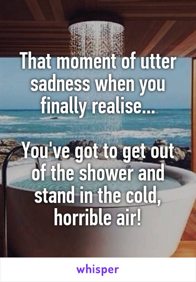 That moment of utter sadness when you finally realise...

You've got to get out of the shower and stand in the cold, horrible air!