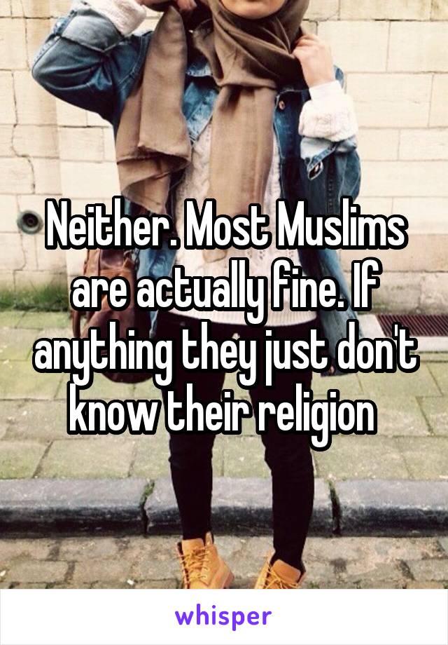 Neither. Most Muslims are actually fine. If anything they just don't know their religion 