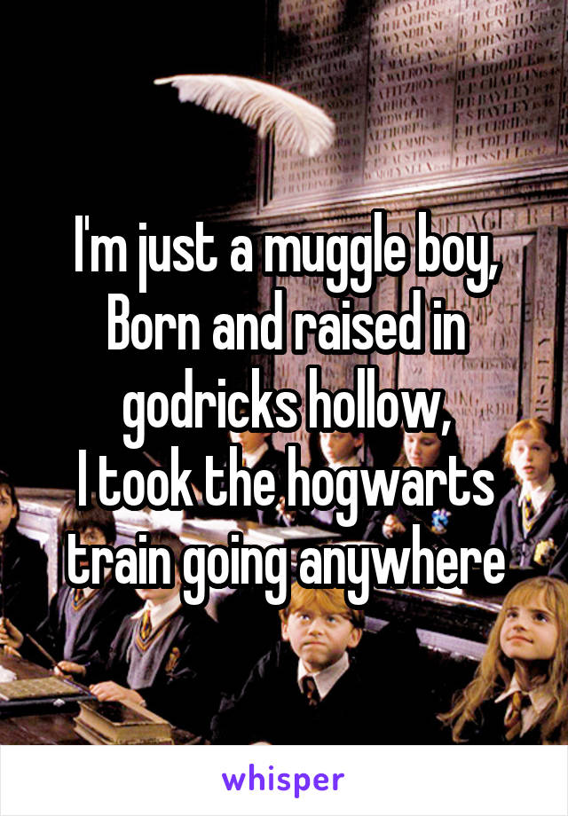 I'm just a muggle boy,
Born and raised in godricks hollow,
I took the hogwarts train going anywhere