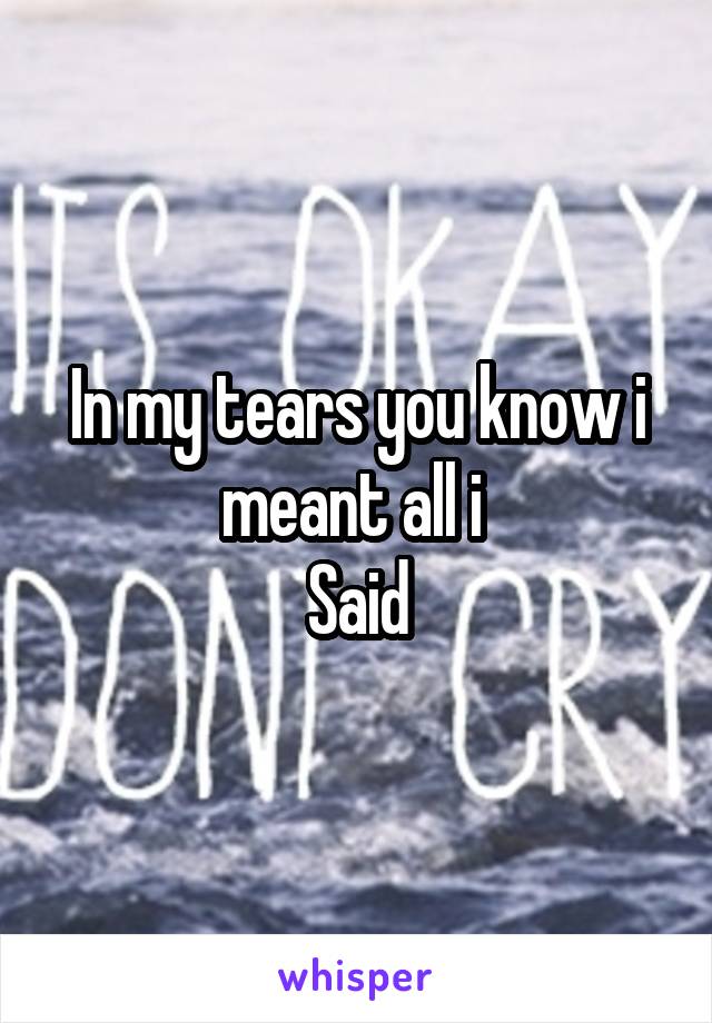 In my tears you know i meant all i 
Said