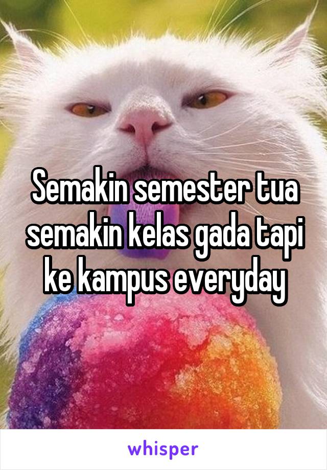 Semakin semester tua semakin kelas gada tapi ke kampus everyday