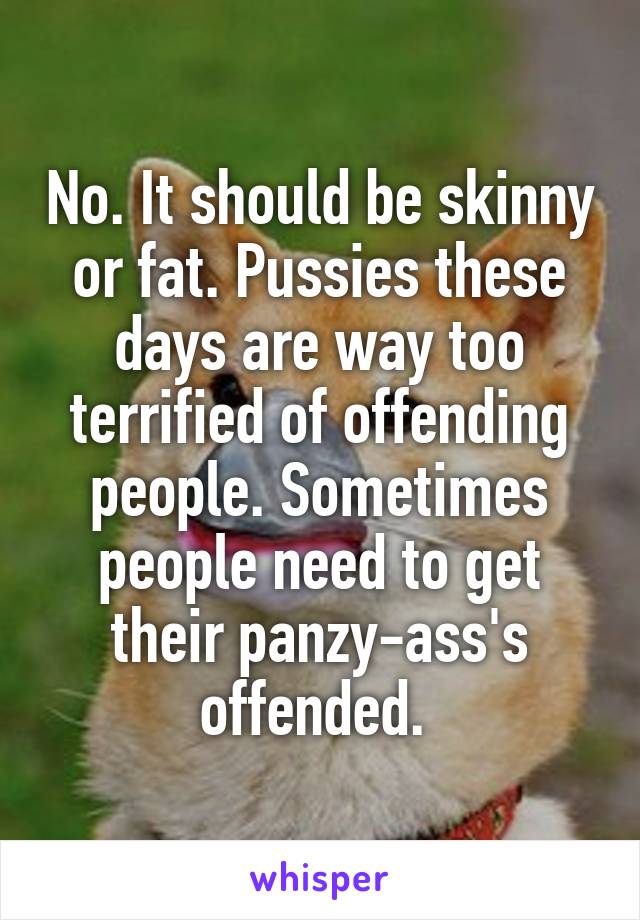 No. It should be skinny or fat. Pussies these days are way too terrified of offending people. Sometimes people need to get their panzy-ass's offended. 