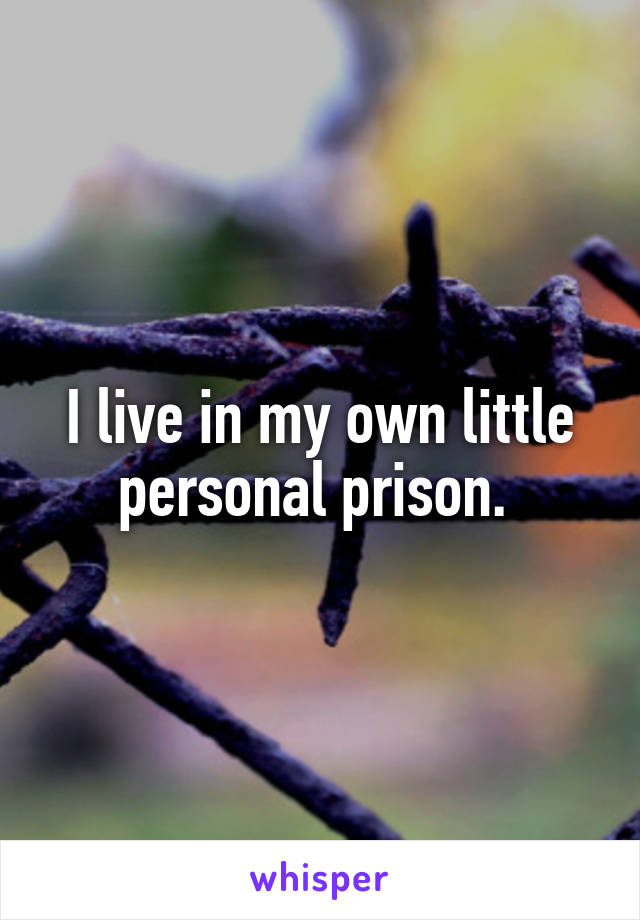 I live in my own little personal prison. 