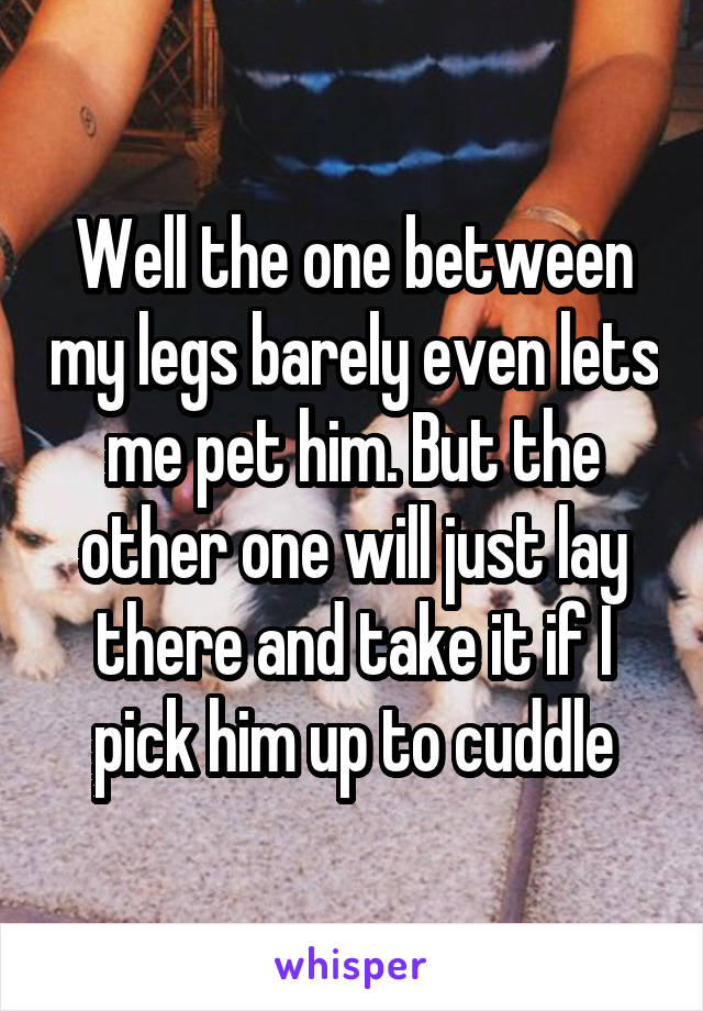 Well the one between my legs barely even lets me pet him. But the other one will just lay there and take it if I pick him up to cuddle