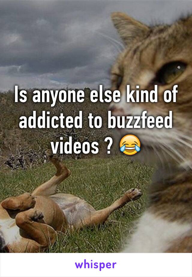 Is anyone else kind of addicted to buzzfeed videos ? 😂