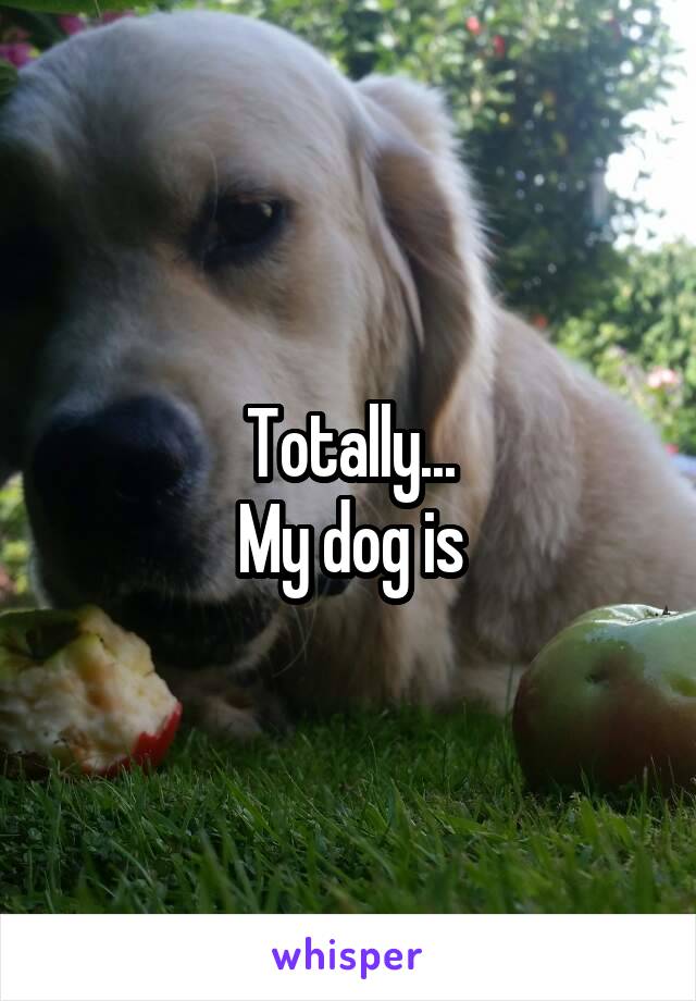 Totally...
My dog is