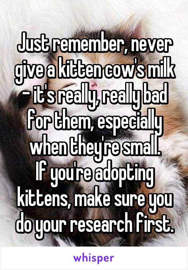 Just remember, never give a kitten cow's milk - it's really, really bad for them, especially when they're small.
If you're adopting kittens, make sure you do your research first.