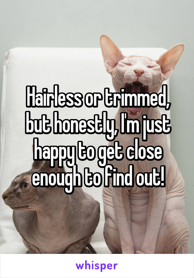 Hairless or trimmed, but honestly, I'm just happy to get close enough to find out!