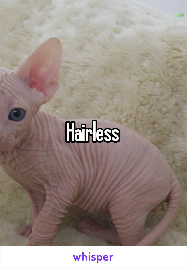 Hairless 