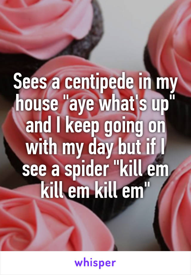 Sees a centipede in my house "aye what's up" and I keep going on with my day but if I see a spider "kill em kill em kill em"