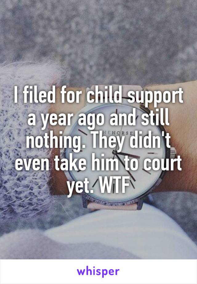 I filed for child support a year ago and still nothing. They didn't even take him to court yet. WTF