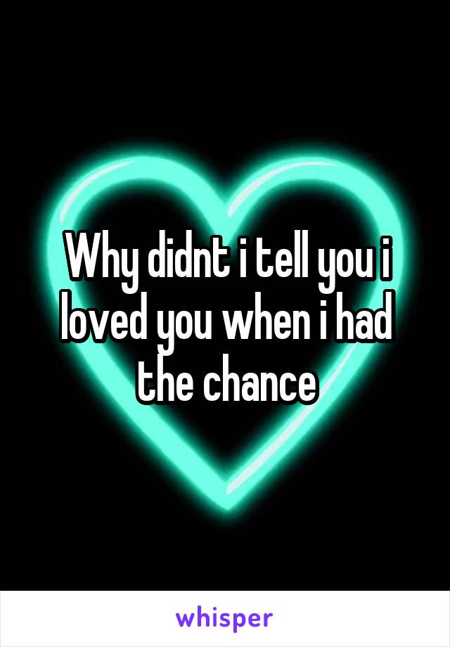 Why didnt i tell you i loved you when i had the chance