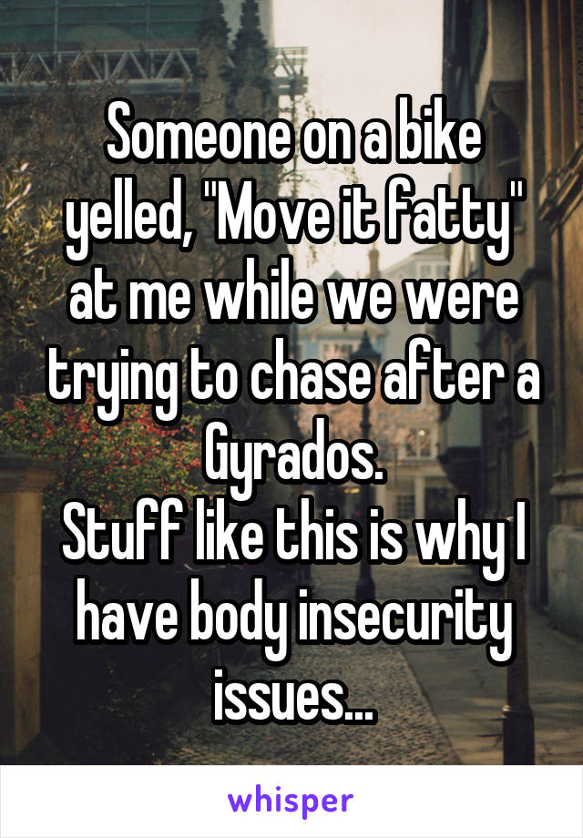 Someone on a bike yelled, "Move it fatty" at me while we were trying to chase after a Gyrados.
Stuff like this is why I have body insecurity issues...