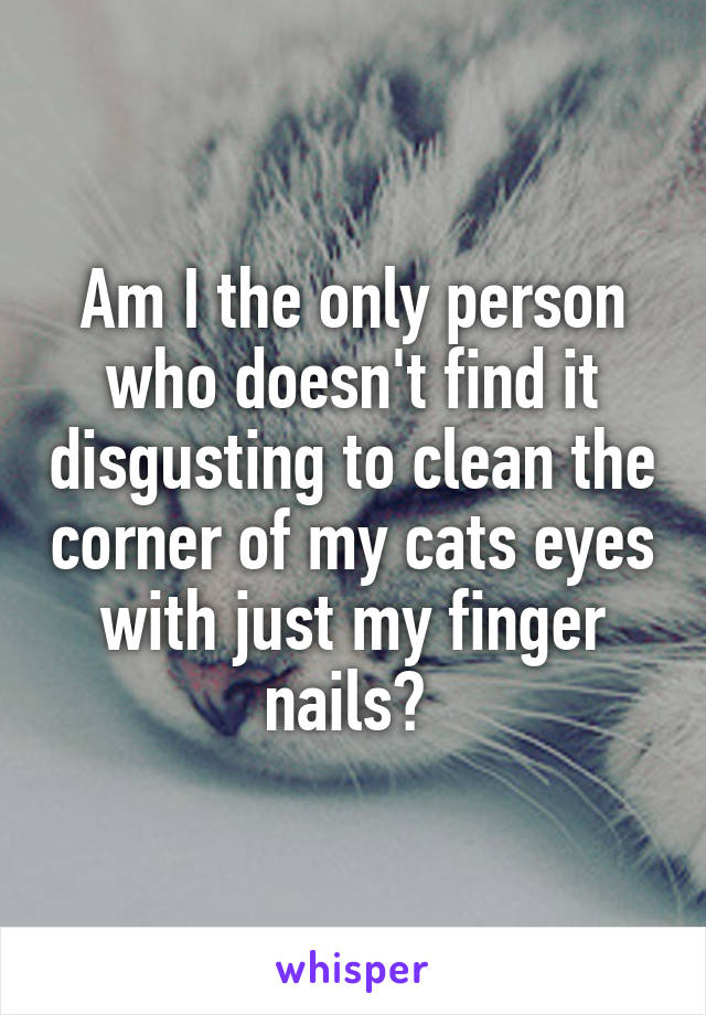 Am I the only person who doesn't find it disgusting to clean the corner of my cats eyes with just my finger nails? 